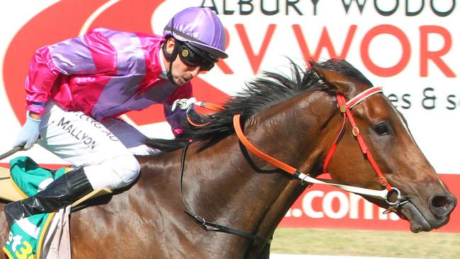 Jordan Mallyon partners debutant Boxing Day at Albury. Picture: Getty Images