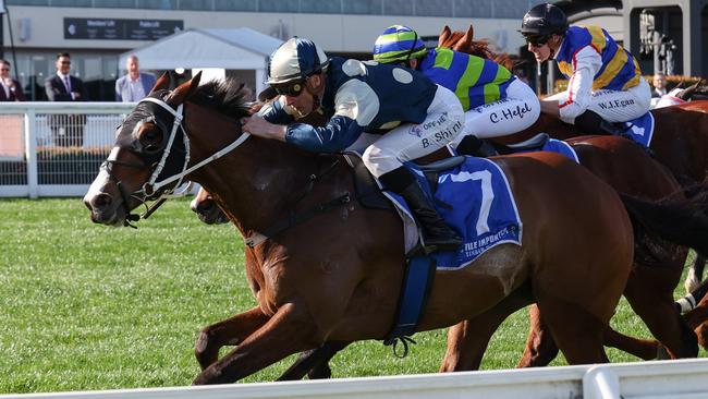 Melbourne Cup second favourite Soulcombe was assigned 53.5kg. Picture: George Sal-Racing Photos via Getty Images