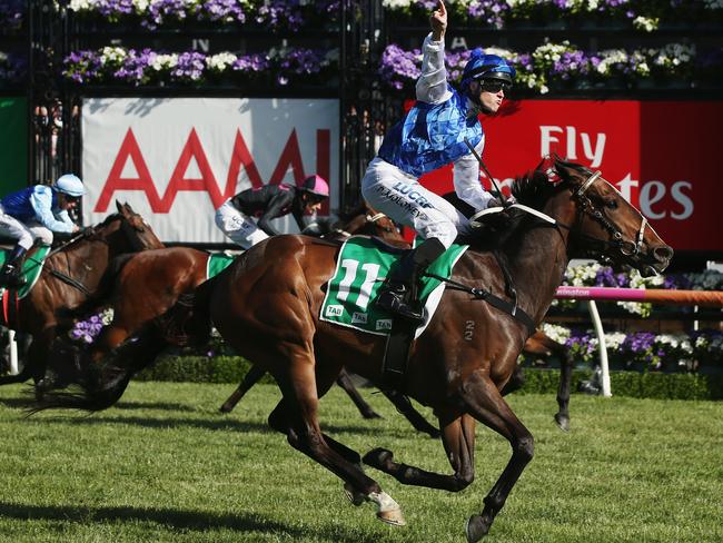 Patrick Moloney salutes as Rich Charm finishes powerfully to win at Flemington. Picture: Getty Images