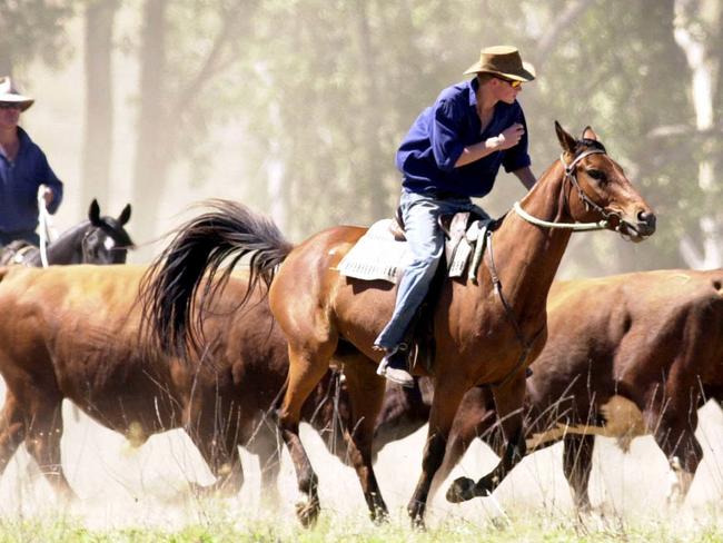 Prince Harry working as jackaroo in central outback Queensland in 2003. Picture: Patrick Hamilton