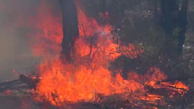 A bushfire is raging at Castlereagh and Londonderry. Picture: TNV