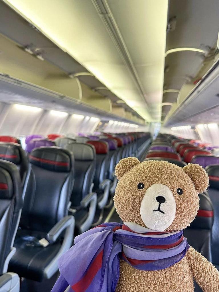 The bear clocked in as a flight attendant during his journey home. Picture: Facebook