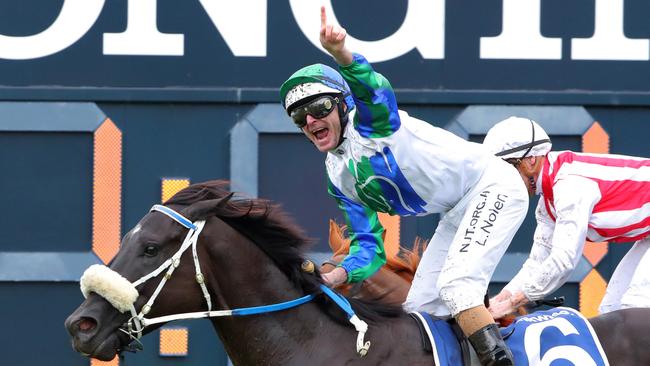 I Wish I Win will head first-up into the TJ Smith Stakes in two weeks time. Picture: Jeremy Ng—Getty Images.