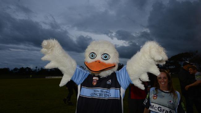 Ballina seagulls mascot. Photo Cathy Adams / The Northern Star