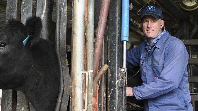 Country vet Shane Thomson. Picture: NCA NewsWire / Martin Ollman