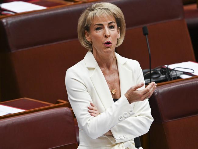 Shadow Attorney-General Michaelia Cash said youth crime is “out of control”. Picture: NCA NewsWire / Martin Ollman