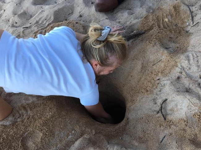 Volunteer Clemence Durel removes the Flatback Turtle eggs from its original nest on Nelly Bay.