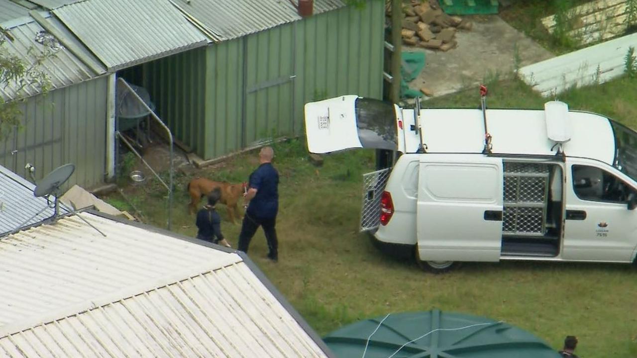 Three dogs seized after mauling a man to death. Picture: Nine News