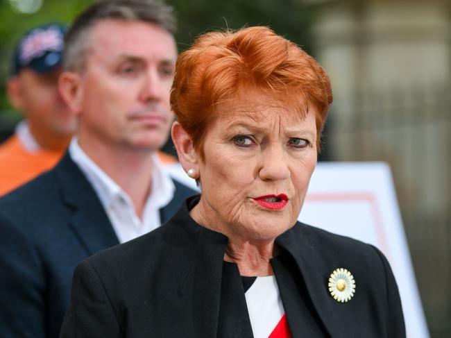 One Nation leader Senator Pauline Hanson. Picture: Dan Peled / NewsWire