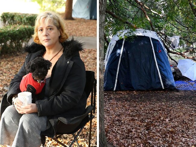 Working homeless’ living in tents in Sydney park amid rental crisis