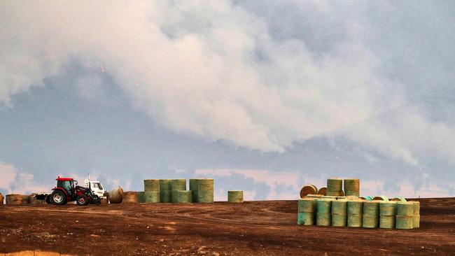 Bales of donated hay destined for starving cattle sit in a burnt out paddock in the town of Corrying. Picture: Aaron Francis