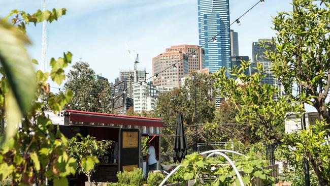 Pop up patch in Melbourne’s CBD.