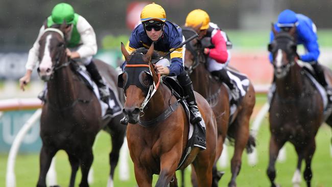 Master Of Wine will be chasing another stakes win at Rosehill Gardens. Picture: AAP