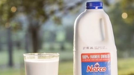 COLES PROBE: Coles has said it has launched an investigation into a Sydney-based customer report that two Norco milk containers they purchased on different dates in February 2021, had holes in the lids.