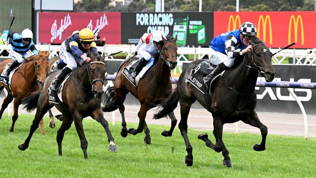 Gold Trip races away to win the Melbourne Cup. Picture: AFP