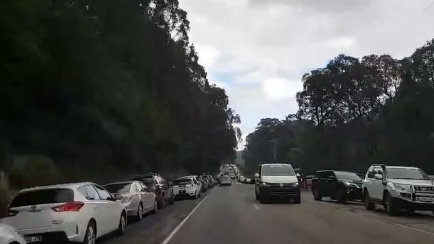 Hordes of people flocked to the Redwood Forest in Warburton East.