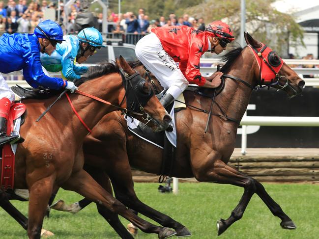 MELBOURNE, AUSTRALIA - NOVEMBER 05: Billy Egan on Bravo Tango wins race 2 the Grinders Coffee Roasters Trophy during 2019 Melbourne Cup Day at Flemington Racecourse on November 05, 2019 in Melbourne, Australia. (Photo by Mark Evans/Getty Images)