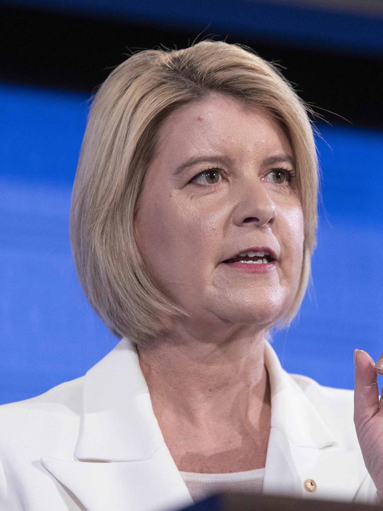 Natasha Stott Despoja will head SA’s royal commission into domestic violence. Picture: NCA NewsWire/Gary Ramage