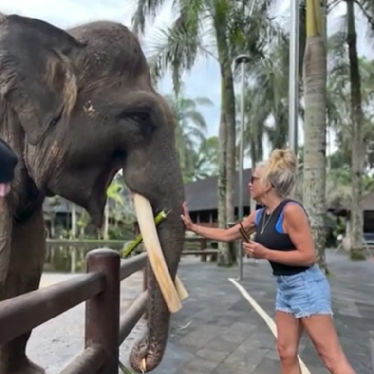 Beth Bogar was at the popular Mason Elephant Park & Lodge in Bali when she says an elephant bit her arm. Picture: WMUR