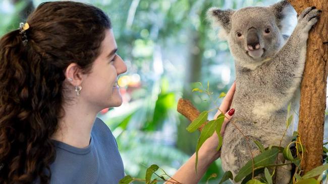 The koala sanctuary was opened in 1927 to protect the animals from poaching. Picture: Lone Pine Koala Sanctuary