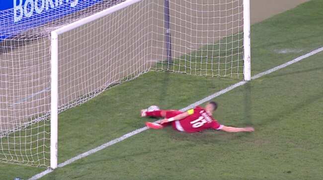 Yep, that sure looks like a goal! Source: UEFA.tv