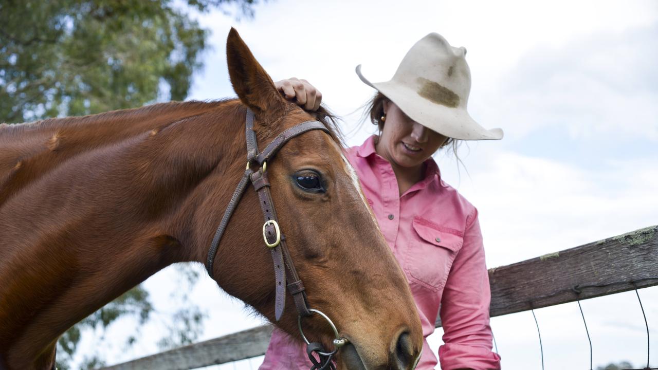 Her boxed meat packs start at 8kg, and go up to 20kg packs that will “fill your freezer”. Picture: Dannika Bonser