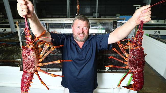 The Mount Gambier News will bring you the stories of locals, such as Cawthorne Fisheries owner Nicky Cawthorne who says things are looking up for rock lobster fishers this season. Picture: Tait Schmaal