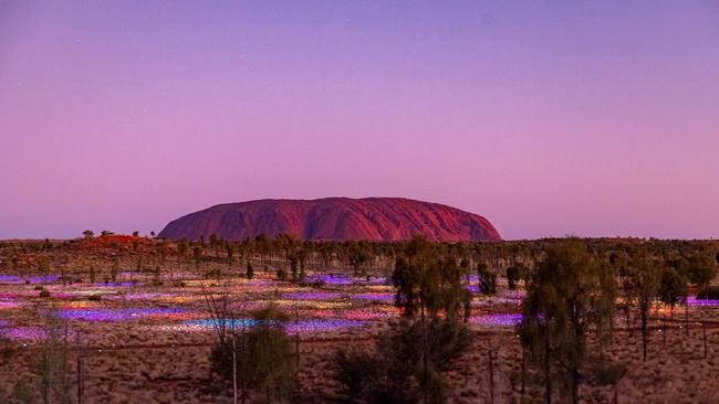 Uluru’s Field of Light. Picture: Ray Reyes