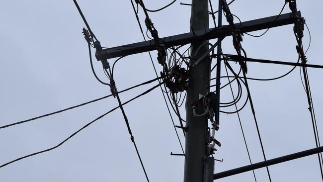 A fallen tree caused power lines to touch and electricy to arc at a Bellbird Park property this morning.