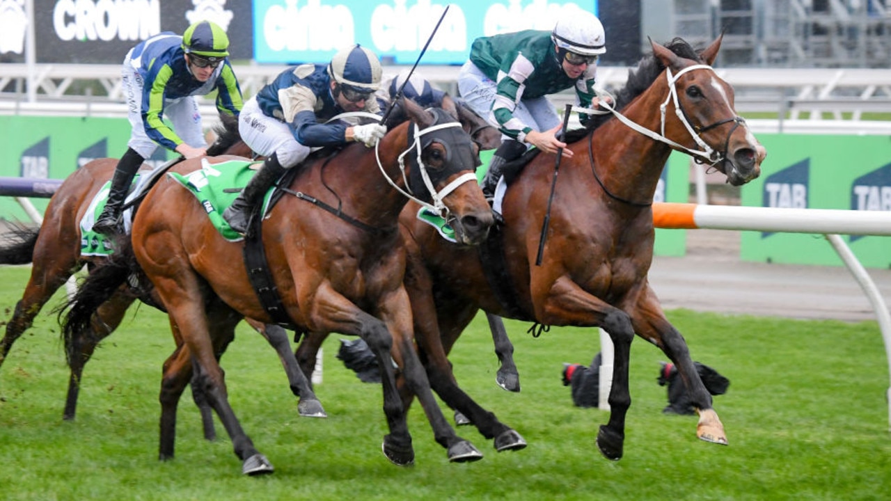 Via Sistina (inside) edges out her stablemate Buckaroo in the Turnbull Stakes at Flemington on Saturday. Photo: Pat Scala/Getty Images.