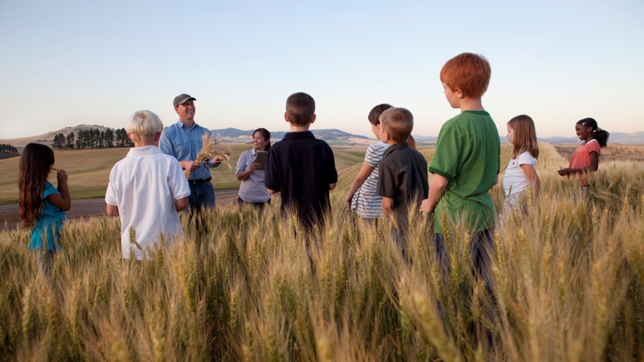 NSW children to learn about agriculture in new program