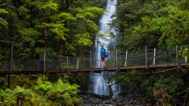 Little Homer Falls on the Hollyford Track, South Island, New Zealand.
