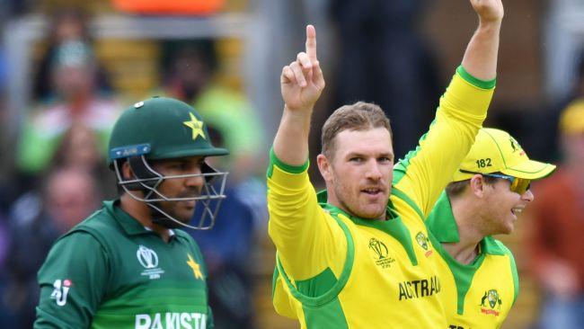 Aaron Finch celebrates his wicket.