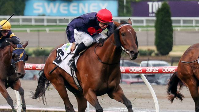 Fearless Writer winning under Damian Lane last November. Picture: George Salpigtidis/Racing Photos