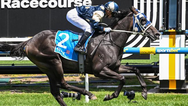 Immediacy (NZ) will be aimed at the Rosehill Guineas. Picture: Reg Ryan-Racing Photos via Getty Images