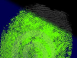 Generic close-up of fingerprints.