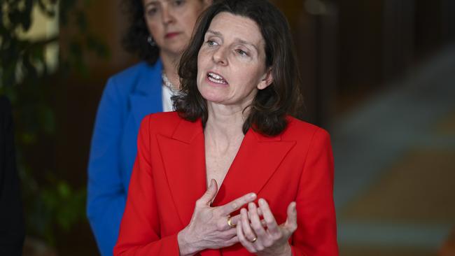 Allegra Spender MP addresses the media at Parliament House in Canberra. Picture: NCA NewsWire / Martin Ollman