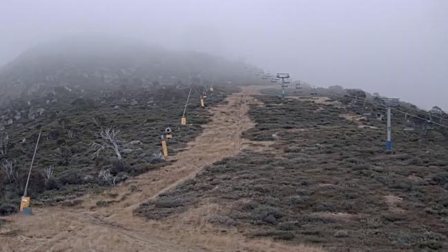 Excelerator at Perisher is looking bare. Picture: Supplied