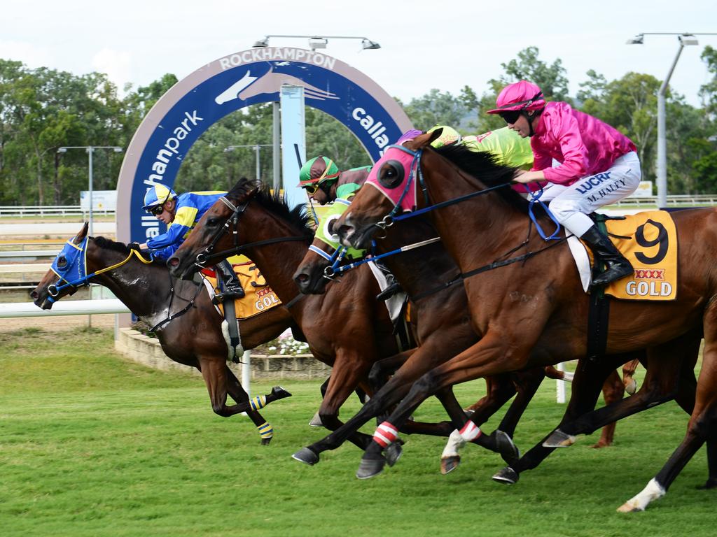 A record-breaking 12-race TAB card will be run at Rockhampton’s Callaghan Park on Thursday.