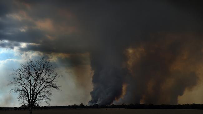 The Rosedale fire yesterday. Thick smoke billows from the Holy Plains State Park. Picture: Tony Gough