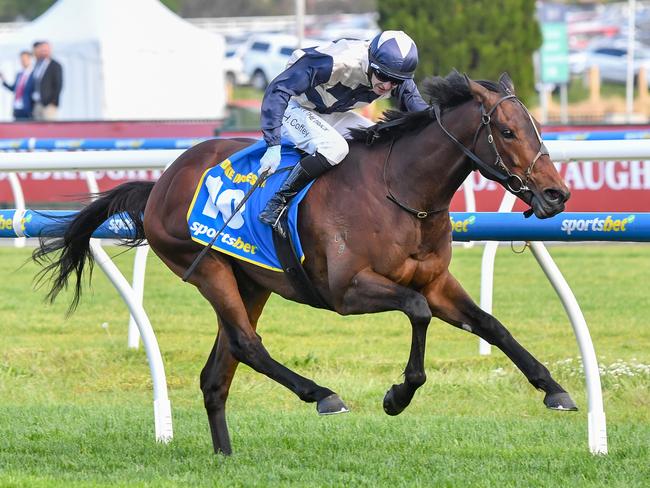 Duke De Sessa takes out the Caulfield Cup on Saturday. Photo: Pat Scala/Getty Images.