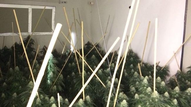 Redfern Region Enforcement Squad have dismantled a criminal group after charging five people and seizing more than 2200 cannabis plants.