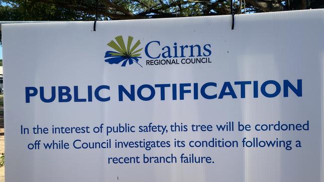 Cairns Regional Council have created an a fenced off section around the tree and erected a warning notice.