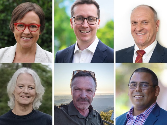 Candidates for the 2024 Hornsby by-election.