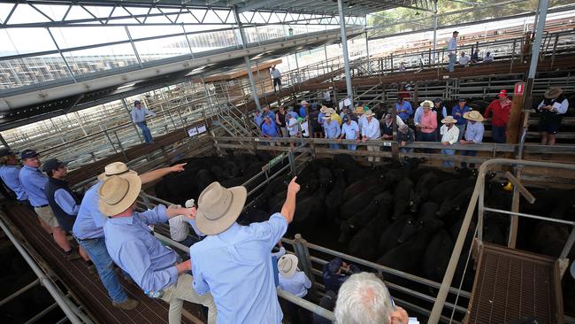 Agents in action at the sale. Picture: Yuri Kouzmin