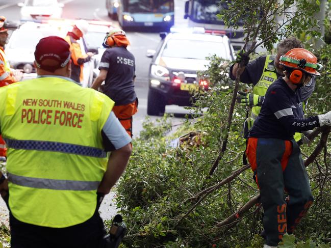 WEEKEND TELEGRAPHS SPECIAL JANUARY 17, 2025, PLEASE CONTACT WEEKEND PIC EDITOR TIM HUNTER BEFORE PUBLISHING.Emergency Services on the scene at Hyde Park in the Sydney CBD after a tree fell onto a person on the footpath on Elizabeth Street. Picture: Jonathan Ng