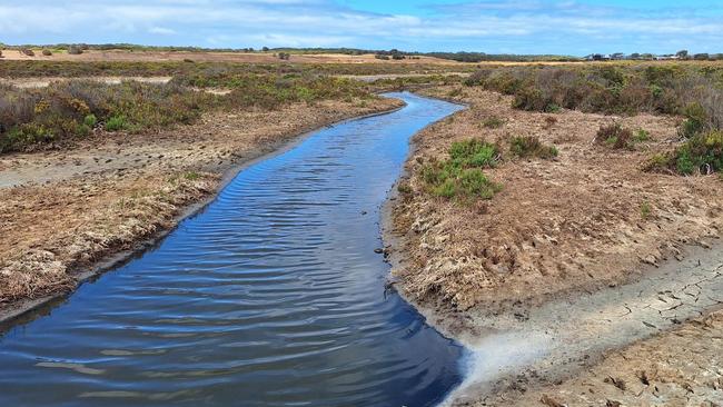 The Federal Government invested $1.9m to help address the excessive freshwater draining to the Karaaf Wetlands in Torquay.