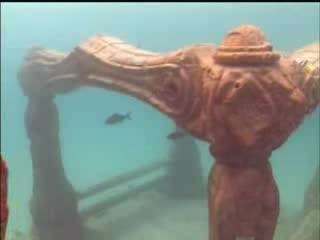 Neptune Memorial Reef