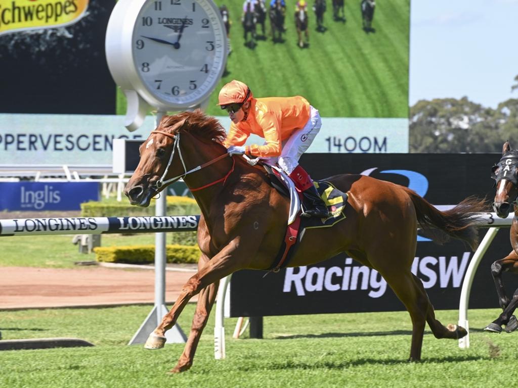 Saif wins the Group 3 Schweppervescence (1400m) at Rosehill in 2021. Picture: Bradley Photos