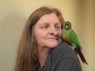 REUNITED: Janice Robins with her pet bird Lollie who miraculously made it home after being stolen along with three of Janice's other birds two months ago. . Picture: Kate McCormack